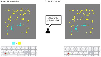 Quantifier processing and semantic flexibility in patients with aphasia